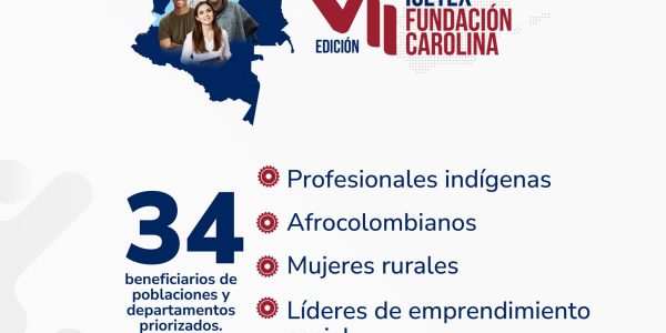 Programa Institucional_VII_3