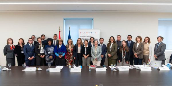 Programa de Liderazgo Público Iberoamericano